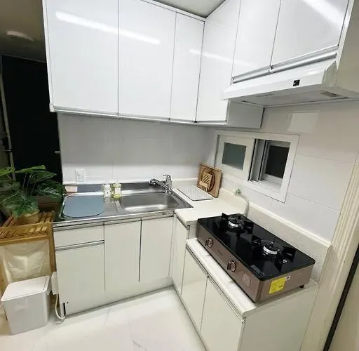 Clean & New - Songridan-gil, Seokchon Lake, Lotte World, Kspo Dome, Olympic Park, River, Asan Hospital, Coex Villa
