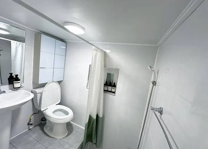 Clean & New - Songridan-gil, Seokchon Lake, Lotte World, Kspo Dome, Olympic Park, River, Asan Hospital, Coex Villa *